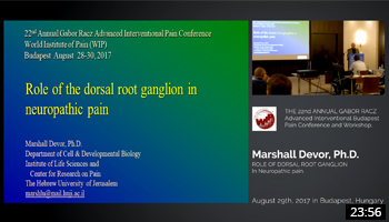 Role of the Dorsal Root Ganglion in Neuropathic Pain