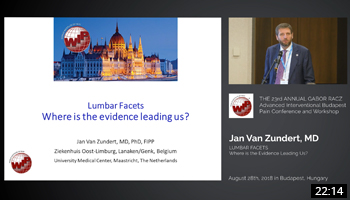 Lumbar Facets: Where is the Evidence leading us?