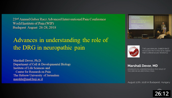 Advances in understanding the role of the DRG in neuropathic pain
