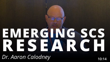 Emerging SCS Research