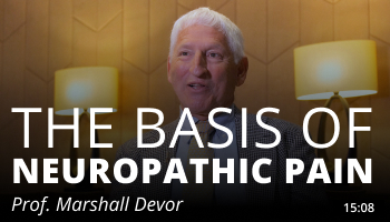 The Basis of Neuropathic Pain