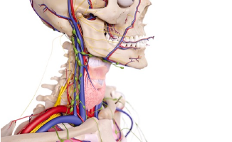 Adherence to CRPS Protocol Significantly Improves Range of Motion, Reduces Allodynia
