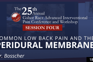 Bosscher - Common Low Back Pain and the Peridural Membrane