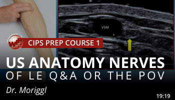 Moriggl – US Anatomy Nerves of LE Q&A or the POV