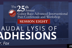 Fox - Caudal Lysis of Adhesions