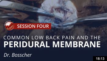 Bosscher – Common Low Back Pain and the Peridural Membrane