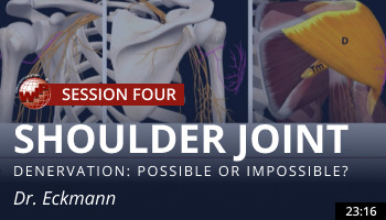 Eckmann – Shoulder Joint Denervation – Possible or Impossible