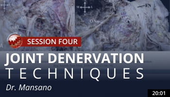 Mansano – Joint Denervation Techniques