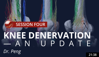 Peng – Knee Denervation – An Update