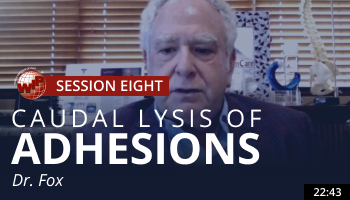 Fox – Caudal Lysis of Adhesions