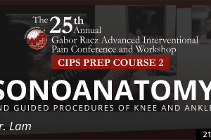 Lam - Sonoanatomy and Guided Procedures of Knee and Ankle