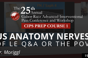 Moriggl - US Anatomy Nerves of LE Q&A or the POV