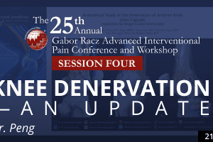 Peng - Knee Denervation - An Update
