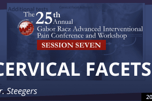 Steegers - Cervical Facets