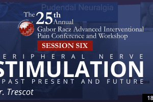 Trescot - Peripheral Nerve Stimulation - Past Present and Future