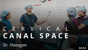 Cervical Canal Space