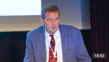 Facetogenic Low Back Pain