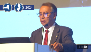 New Concept Osteogenic Pain